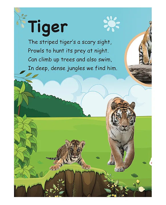 Roar In The Jungle Sound Book