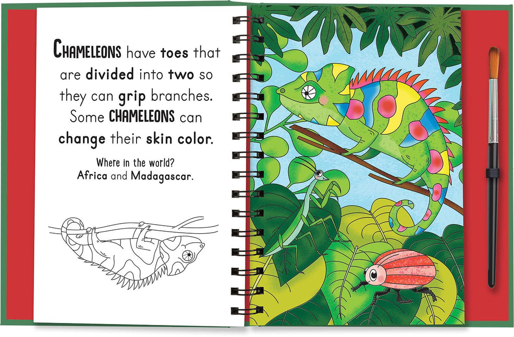 Roars and Claws Animals