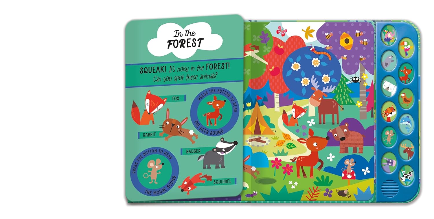 Look and Listen Animal Sound Book