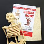 World of Discovery Human Body Kit
