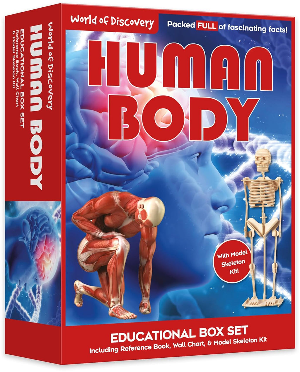 World of Discovery Human Body Kit