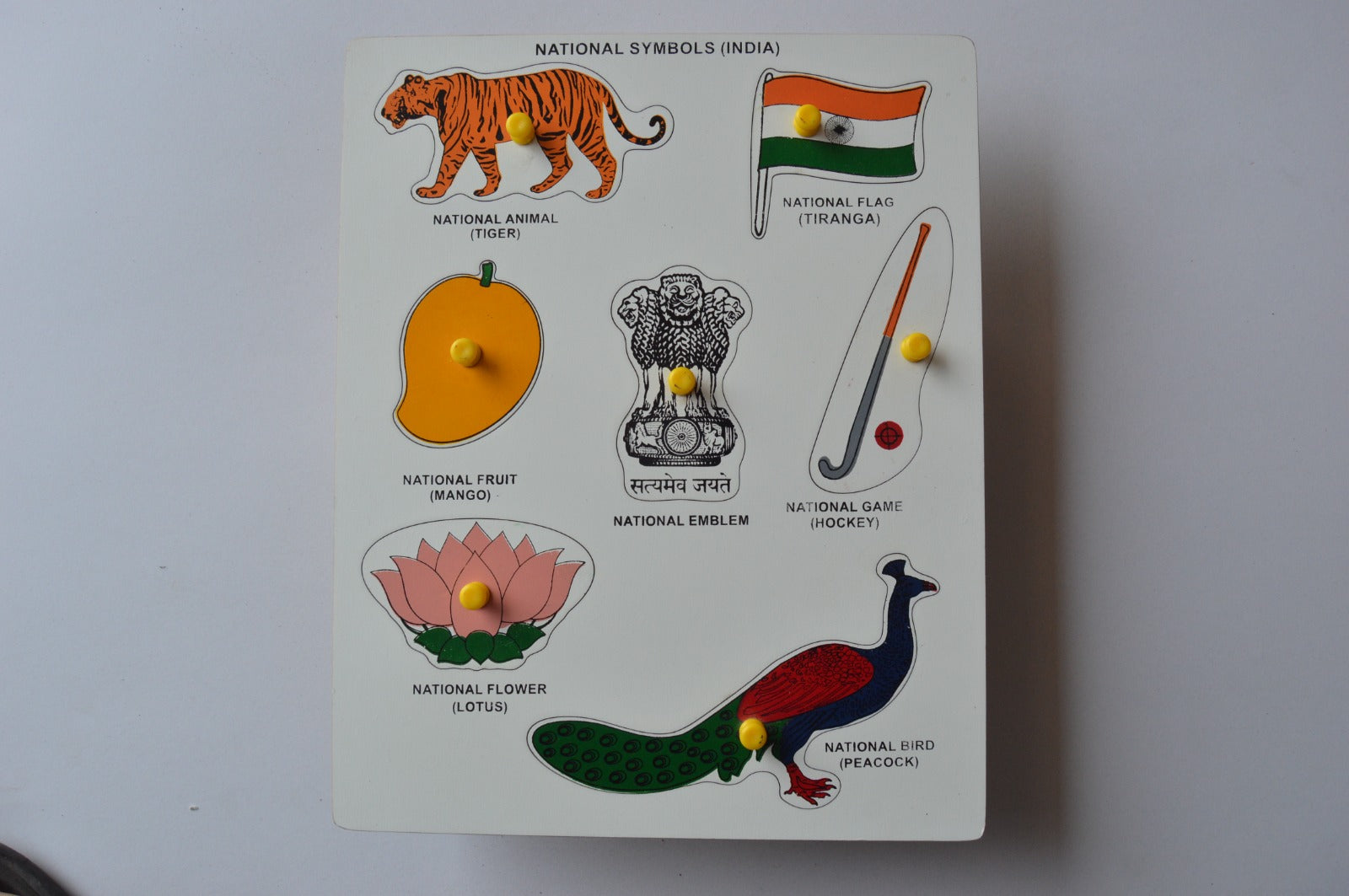 National symbols of India wooden