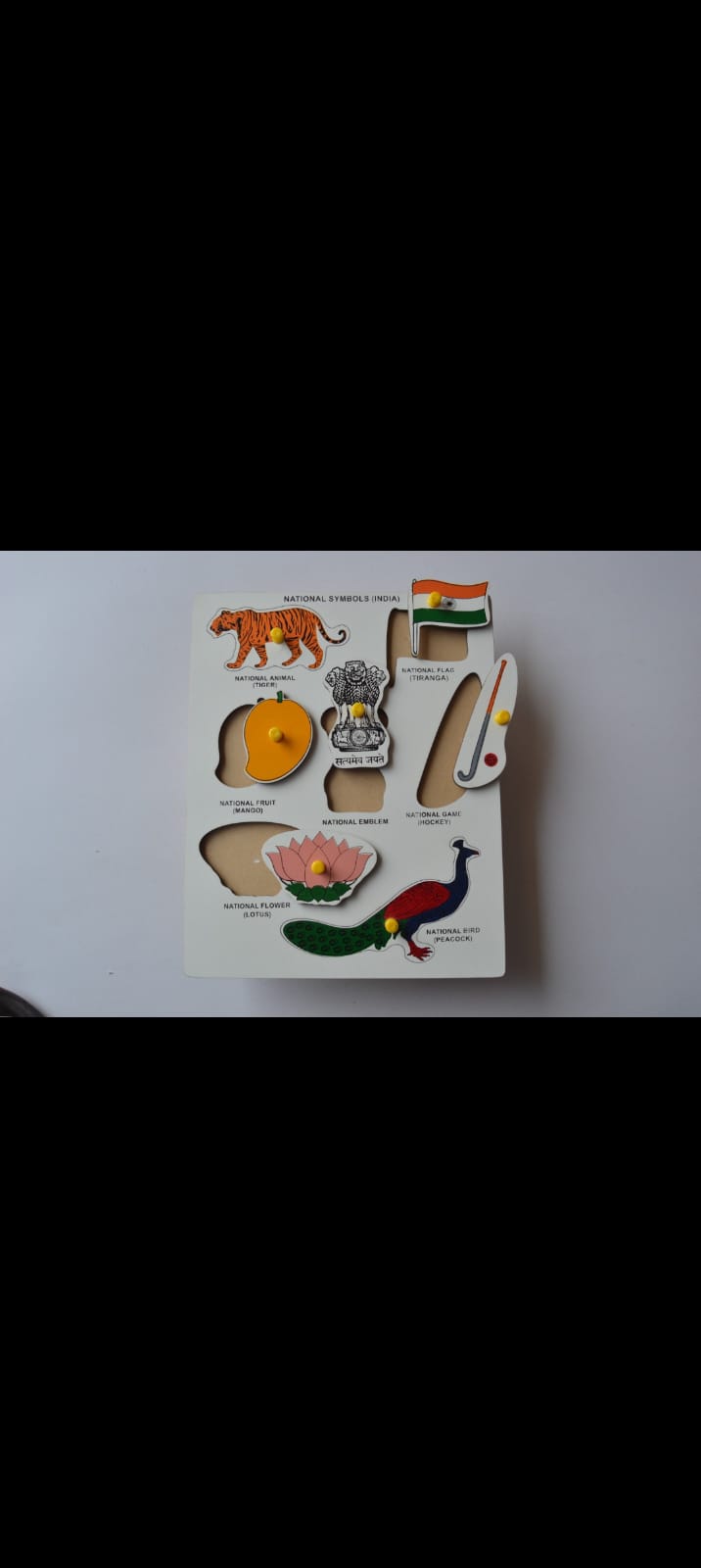 National symbols of India wooden