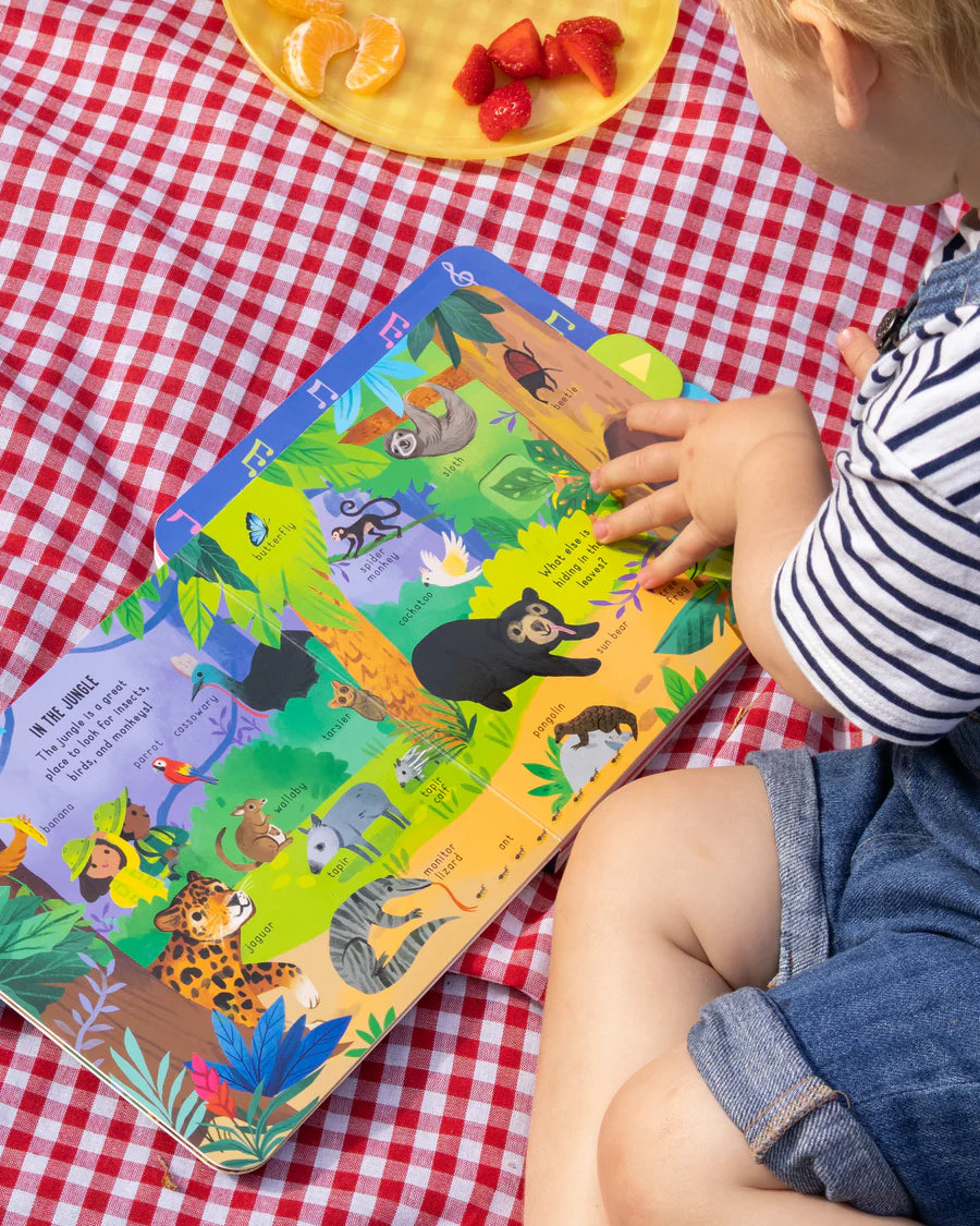 In the Wild! – Pull-Tab Sound Book for Kids