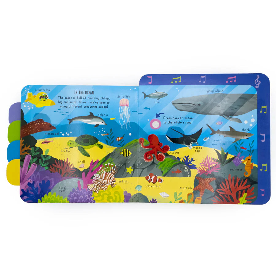 In the Wild! – Pull-Tab Sound Book for Kids