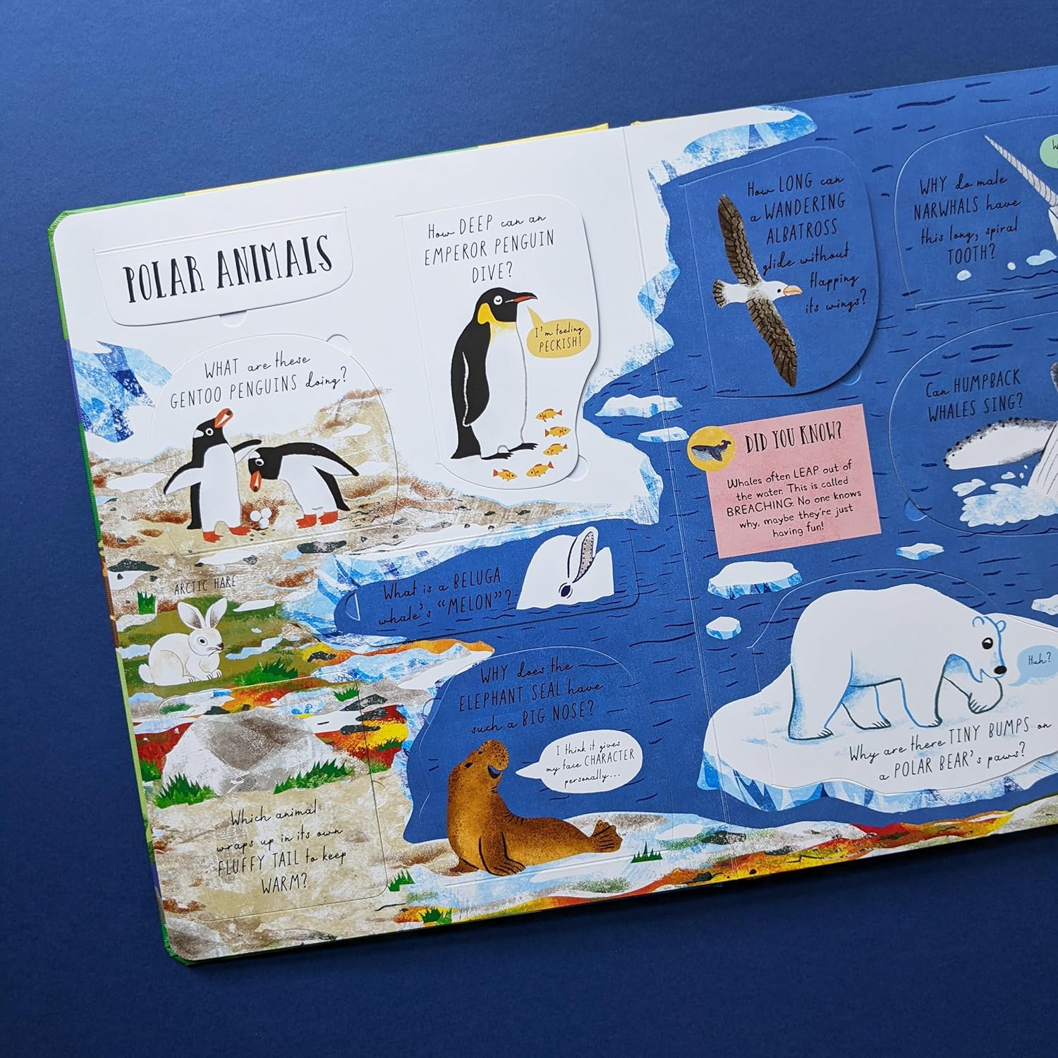 Which animal would be a good friend? (Lift the flap)