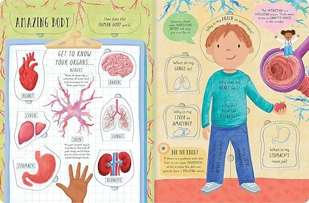 How does the human body work??